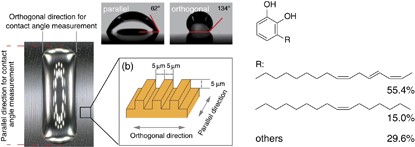 Surface texturing of natural ‘urushi’ thermosetting polymer thin films