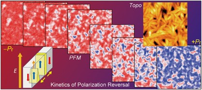 Quantitative analysis of the nucleation and growth of ferroelectric domains during the polarization reversal in thin films of vinylidene fluoride and trifluoroethylene copolymer