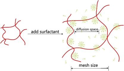 A dynamic light scattering study of hydrogels with the addition of surfactant: a discussion of mesh size and correlation length
