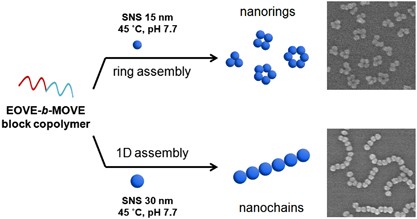 Ring assembly of silica nanospheres mediated by amphiphilic block copolymers with oxyethylene moieties