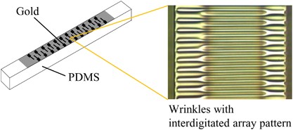 Spontaneous formation of interdigitated array pattern in wrinkled gold films deposited on poly(dimethylsiloxane) elastomer