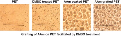 The effect of hot DMSO treatment on the γ-ray-induced grafting of acrylamide onto PET films