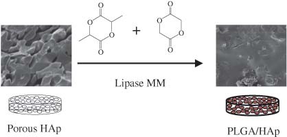 <i>In situ</i> preparation of poly(<span class="small-caps u-small-caps">l</span>-lactic acid-<i>co</i>-glycolic acid)/hydroxyapatite composites as artificial bone materials