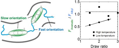 The effect of flexible chains on the orientation dynamics of small molecules dispersed in polymer films during stretching