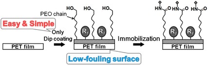 A low-fouling polymer surface prepared by controlled segregation of poly(ethylene oxide) and its functionalization with biomolecules