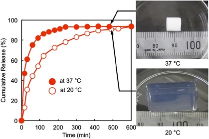 Silica nanoparticle-crosslinked thermosensitive hybrid hydrogels as potential drug-release carriers