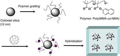 Inclusion of fullerene in polymer chains grafted on silica nanoparticles in an organic solvent