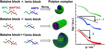 Chain-length dependence of polyion complex architecture bearing phosphobetaine block explored using SAXS and FFF-MALS