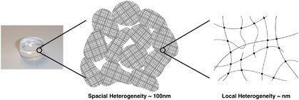 Experimental verification of homogeneity in polymer gels