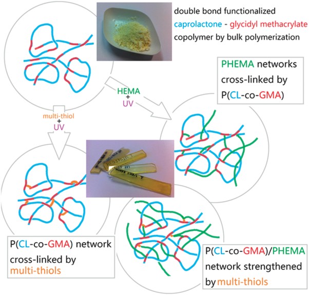 Cross-linking and damping properties of poly(caprolactone-co-glycidyl methacrylate)