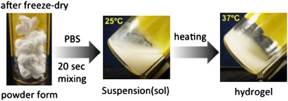 Instant preparation of a biodegradable injectable polymer formulation exhibiting a temperature-responsive sol–gel transition