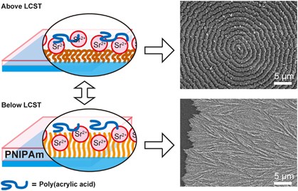 Biomineralization-inspired approach to the development of hybrid materials: preparation of patterned polymer/strontium carbonate thin films using thermoresponsive polymer brush matrices