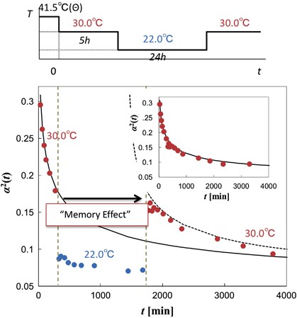 Chain collapse and aggregation in dilute solutions of poly(methyl methacrylate) below the theta temperature