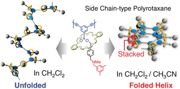 Effect of a side chain rotaxane structure on the helix-folding of poly(<i>m</i>-phenylene diethynylene)