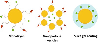 Surface engineering of nanoparticles for therapeutic applications