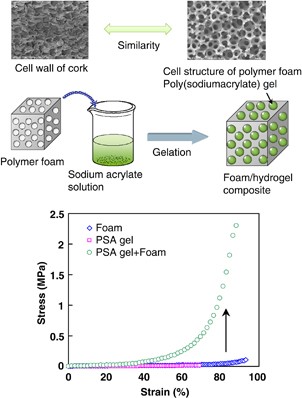 Polymer foam-reinforced hydrogels inspired by plant body frameworks as high-performance soft matter