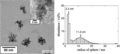 Nanomorphology characterization of sterically stabilized polypyrrole-palladium nanocomposite particles