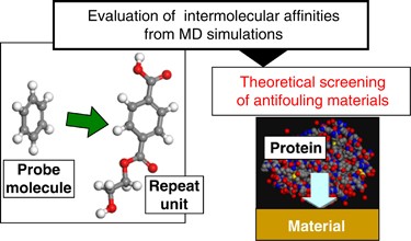 Theoretical screening of antifouling polymer repeat units by molecular dynamics simulations