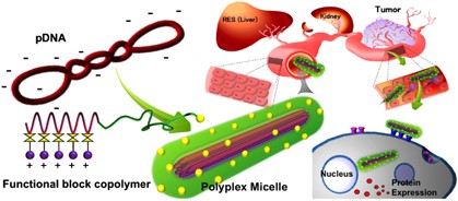 Development of functional polyplex micelles for systemic gene therapy