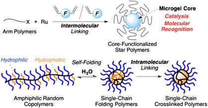 Functional spaces in star and single-chain polymers via living radical polymerization