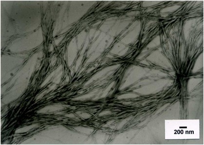 Development of low-molecular-weight gelators and polymer-based gelators