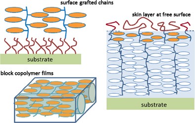 New strategies and implications for the photoalignment of liquid crystalline polymers