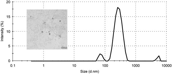 Cholesteryl-modified poly (monomethyl itaconate)s micelles as nano-carriers for pH-responsive drug delivery