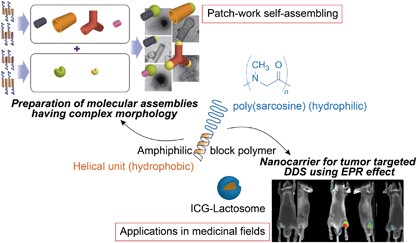 Morphology control of molecular assemblies prepared from bio-based amphiphilic polymers with a helical hydrophobic unit and application as nanocarriers for contrast agents and/or drug delivery