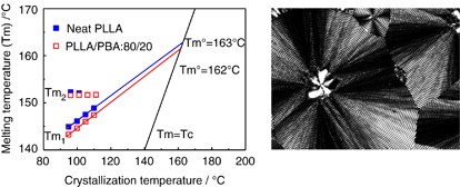 Isothermal crystallization of poly(<span class="small-caps u-small-caps">L</span>-lactide) and poly(butylene adipate) crystalline/crystalline blends