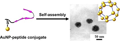 Self-assembled artificial viral capsid decorated with gold nanoparticles