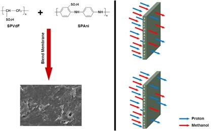 Effect of the presence of partially sulfonated polyaniline on the proton and methanol transport behavior of partially sulfonated PVdF membrane