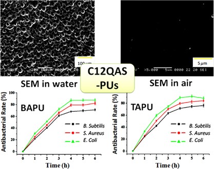 Synthesis, characterization and antibacterial properties of polyurethane material functionalized with quaternary ammonium salt