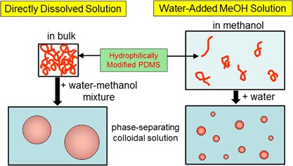 Colloidal droplets of the concentrated phase in aqueous methanol solutions of a hydrophilically modified poly(dimethylsiloxane)