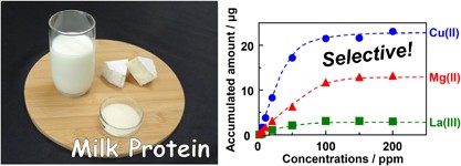 Utilization of milk protein as an environmental material: accumulation of metal ions using a protein–inorganic hybrid material