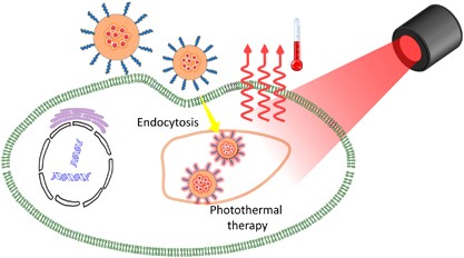 Polymeric nanocarriers incorporating near-infrared absorbing agents for potent photothermal therapy of cancer