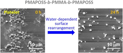 Platelet-adhesion behavior synchronized with surface rearrangement in a film of poly(methyl methacrylate) terminated with elemental blocks
