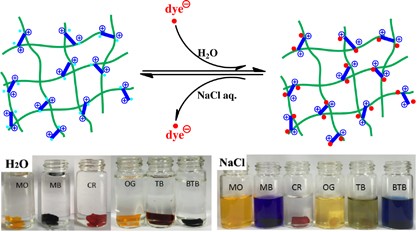 Poly(<i>N</i>-isopropylacrylamide)-based ionic hydrogels: synthesis, swelling properties, interfacial adsorption and release of dyes
