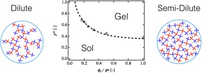 Sol-gel transition behavior near critical concentration and connectivity