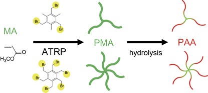 Synthesis of well-defined 3-arm and 6-arm poly(acrylic acid)s via ATRP of methyl acrylate and hydrolyses of 3-arm and 6-arm poly(methyl acrylate)s