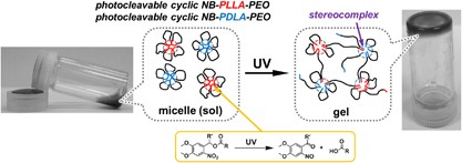 Hydrogel formation by the ‘topological conversion’ of cyclic PLA–PEO block copolymers