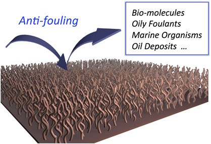 Anti-fouling behavior of polymer brush immobilized surfaces
