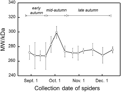 The effects of seasonal changes on the molecular weight of <i>Nephila clavata</i> spider silk