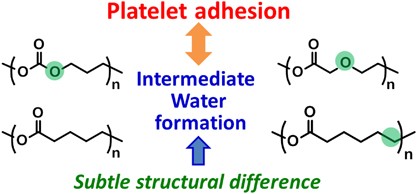 Evaluation of the hemocompatibility of hydrated biodegradable aliphatic carbonyl polymers with a subtle difference in the backbone structure based on the intermediate water concept and surface hydration