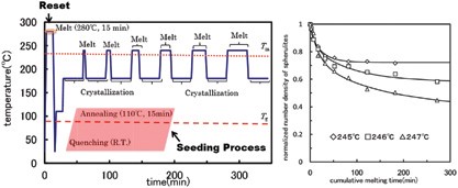 Melt memory of a spherulite nucleus formed through a seeding process in the crystal growth of isotactic polystyrene