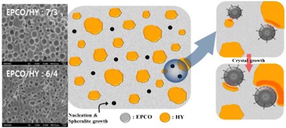 The role of a polyester-based thermoplastic elastomer in the crystallization of an aliphatic polyketone terpolymer