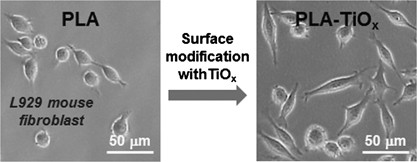 Enhanced cellular affinity for poly(lactic acid) surfaces modified with titanium oxide