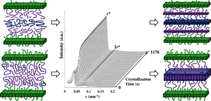Crystallization of double crystalline block copolymer/crystalline homopolymer blends: 2. crystallization behavior