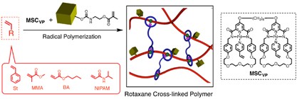 Synthesis of rotaxane cross-linked polymers derived from vinyl monomers using a metal-containing supramolecular cross-linker