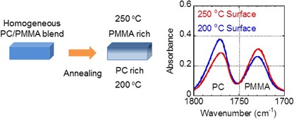 Surface localization of poly(methyl methacrylate) in a miscible blend with polycarbonate