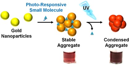 Control of interparticle spacing in stable aggregates of gold nanoparticles by light irradiation